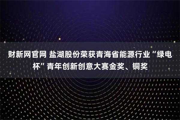 财新网官网 盐湖股份荣获青海省能源行业“绿电杯”青年创新创意大赛金奖、铜奖