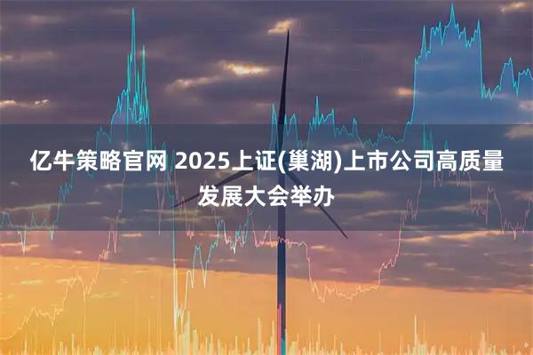 亿牛策略官网 2025上证(巢湖)上市公司高质量发展大会举办